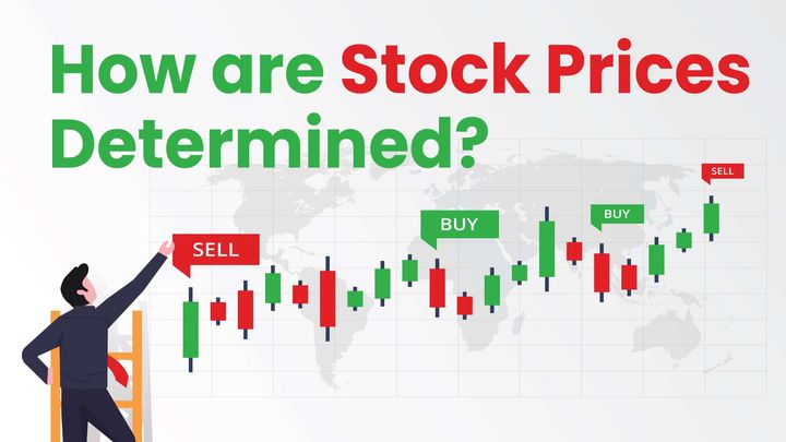 How are Stock Prices Determined?